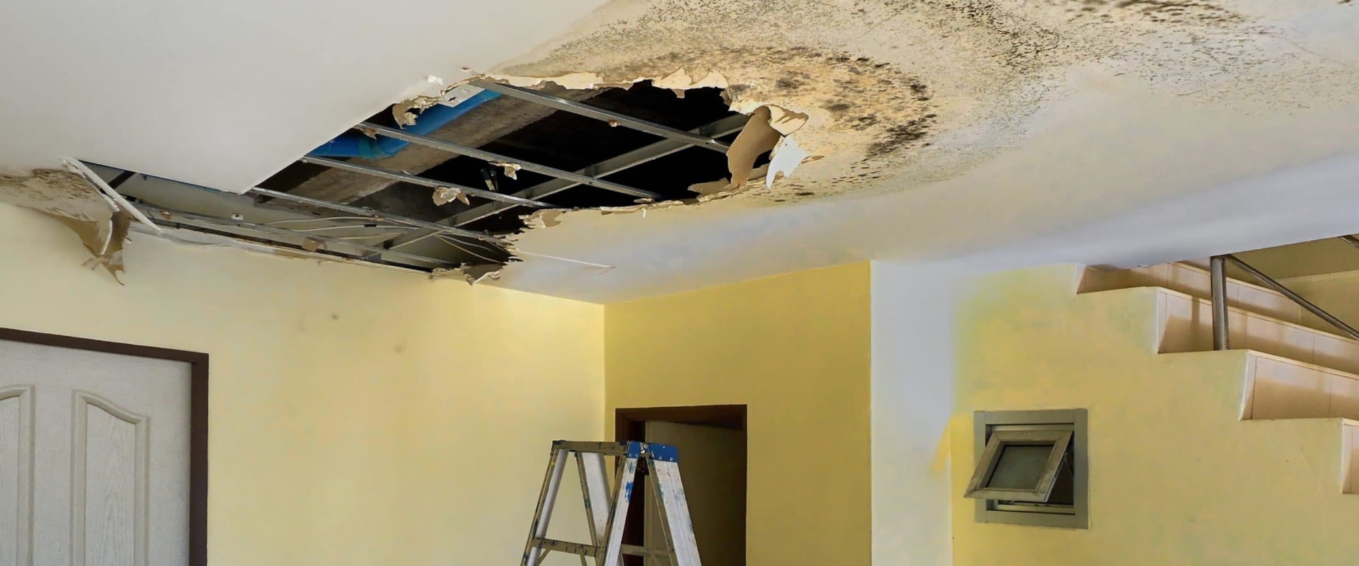 How to Repair Water Damage on Your Roof and Find the Right Contractor